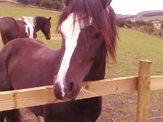 1/8