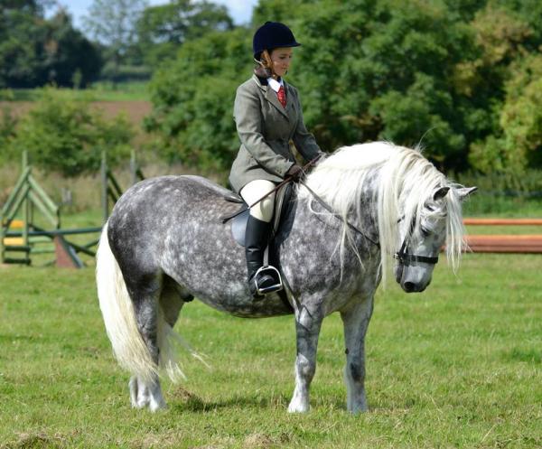 971822 10201960009745634 867855287 n