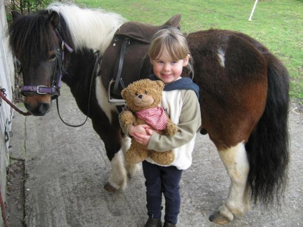a pic for the School Bear Diary