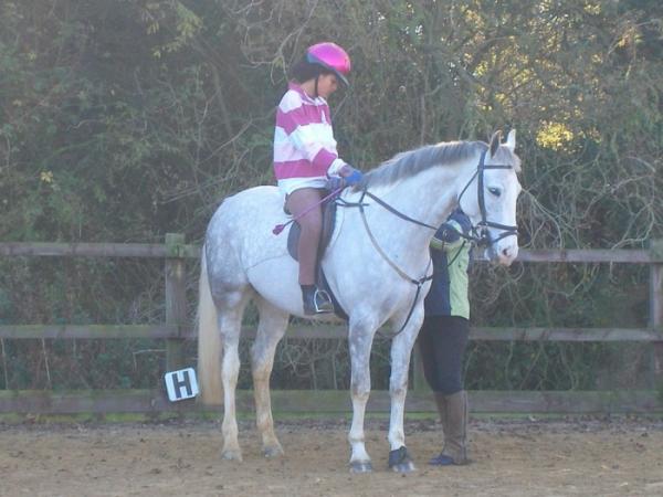 Adjusting stirrup leathers lol.