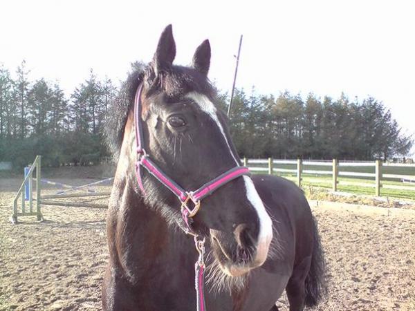 After a little jumping session
