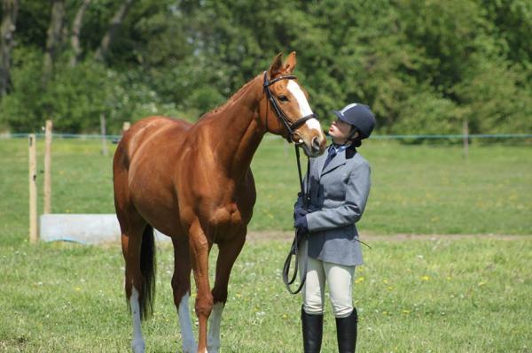 Albi   Rainbow shows June 13