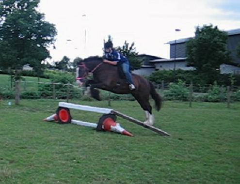 Ali learning to jump