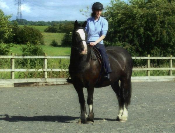 All trimmed and looking almost like a show cob!