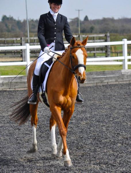 Amazing day at dressage