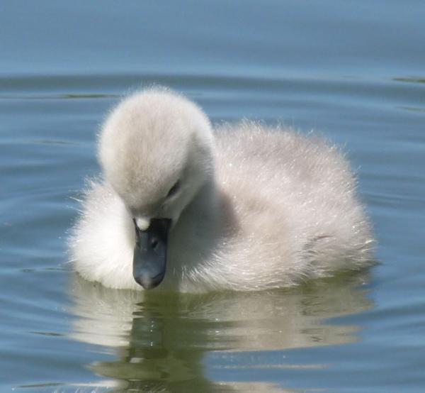 Apologies for hogging the gallery. Well, they deserve it. Don't they?
