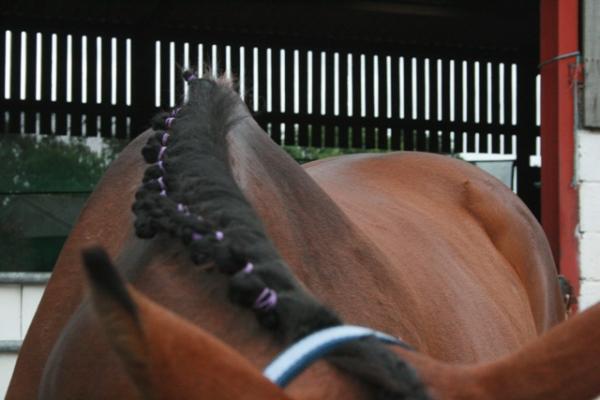 Artsy shot of plaits