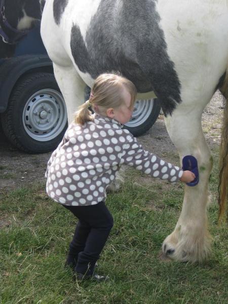 Back leg no problem-