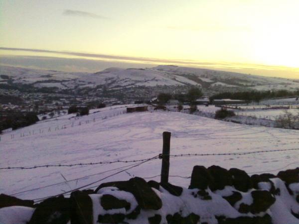 Bailey's field