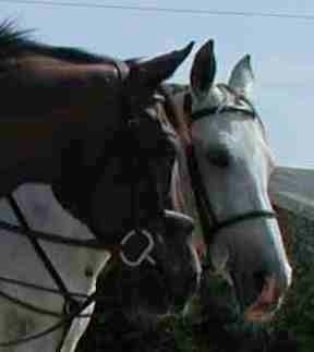 Berry and Cissie