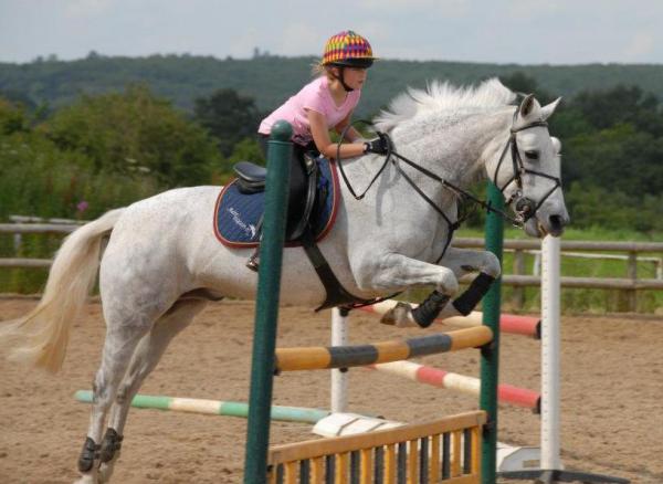 Best pony ever!