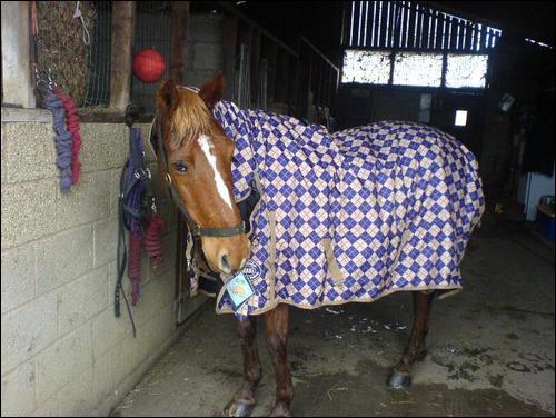 Bit of girly rug :)
