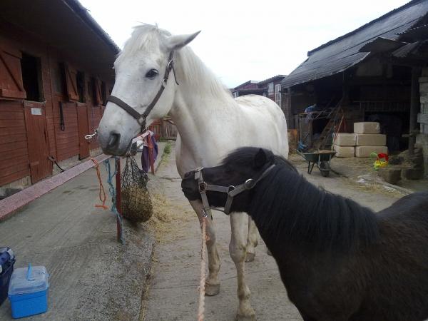 Bog off, its my hay!!