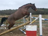 bonnie jumping 3