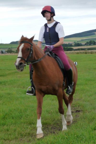 canter transition