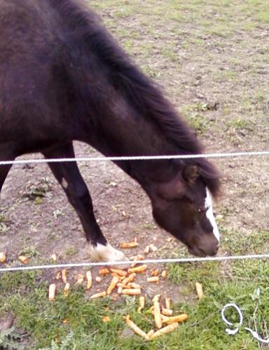 "carrot time!"
22/4/09