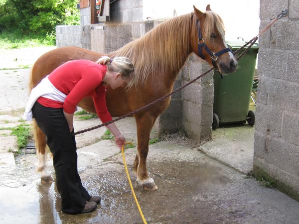 Charlie cold hosing