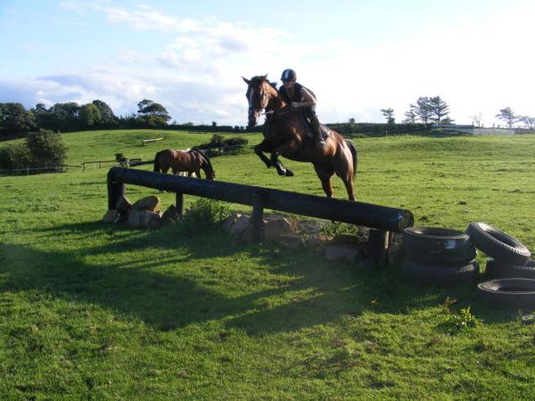 cross country