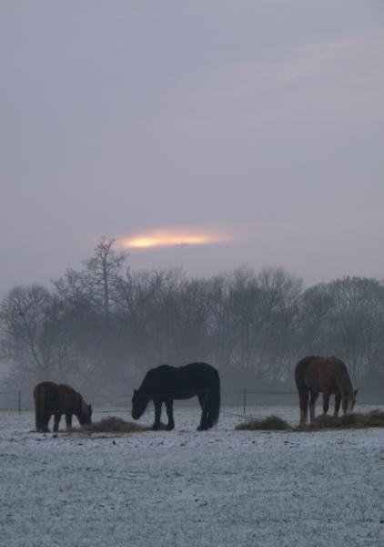 december24th 103 evening