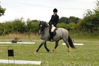 Denby Dressage