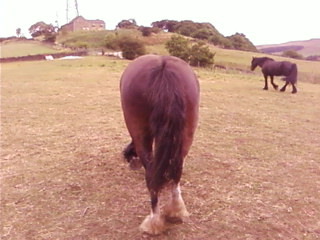 Does my bum look big :D