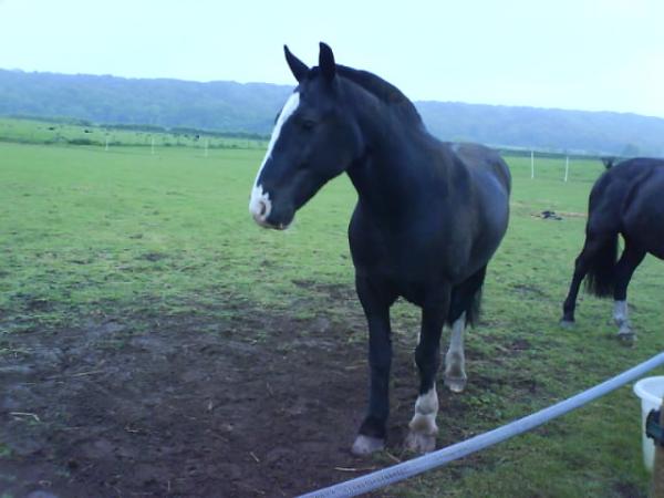 DSC00643