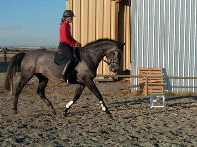 EnriqueRiding