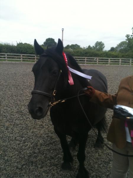 Eva first rosette best condition 18/7/2010 Luvs my little black pony.