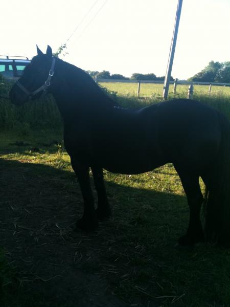Eva june10