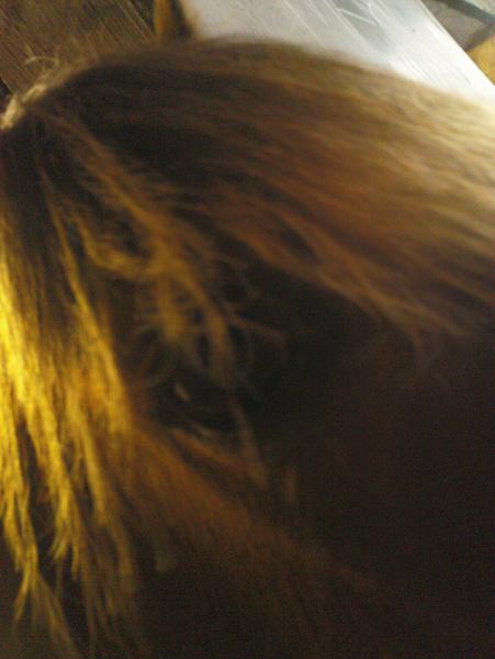 Eye,,