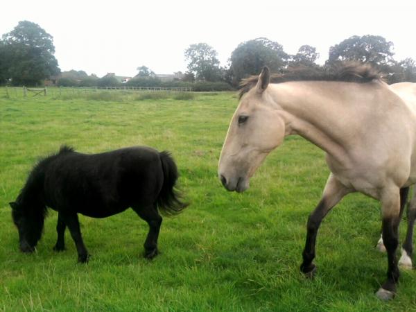 Faye is the boss and sweep knows it :)