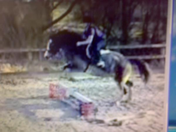 Fearn jumping