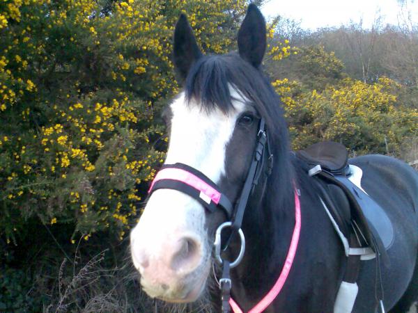 First evening hack of the summer