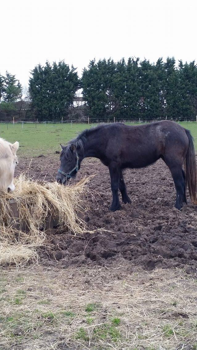 Glennie first day at ours