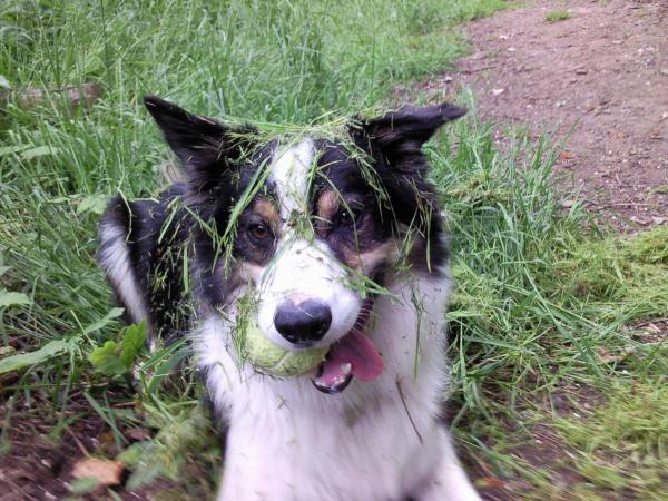 Grass face :)