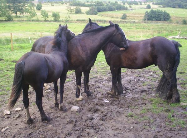 "Group hug"