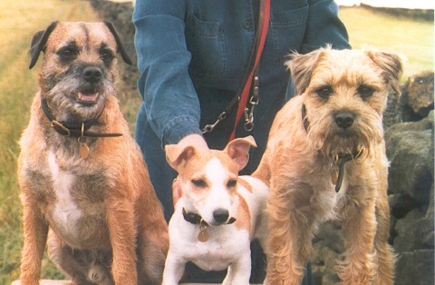 Hamish, Thistle and Joey