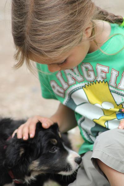 Hannah is a cat lover and usually a bit wary of strange dogs.  She was besotted with all three of them.
