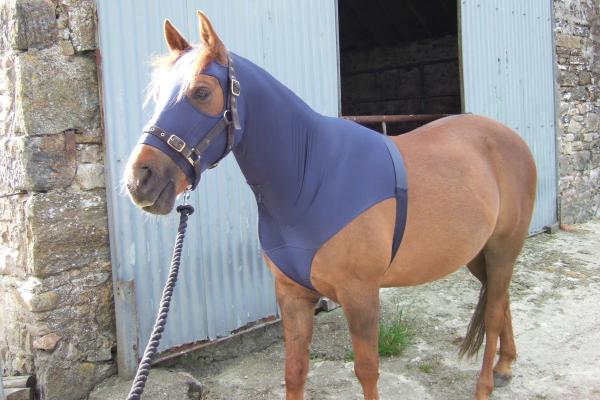 harry staring into space