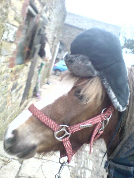 hat!