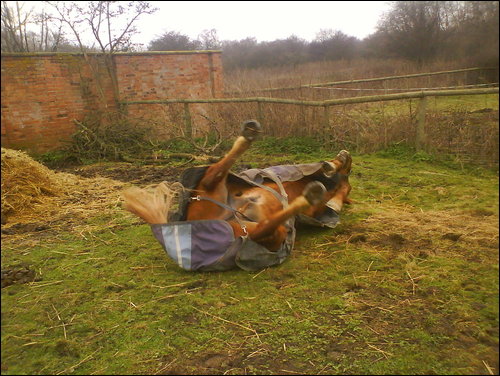 Having a good old roll :)