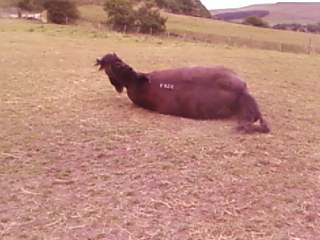 Having a roll part 2