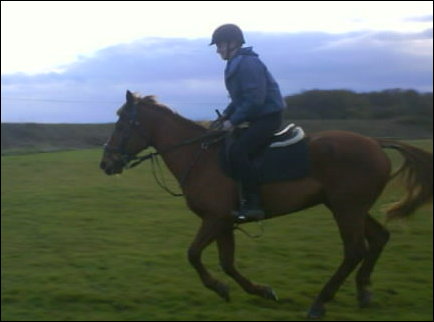 Having a run!
