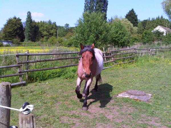 Having a runabout!