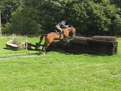 hedge