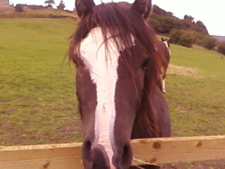 Here's looking at you :D