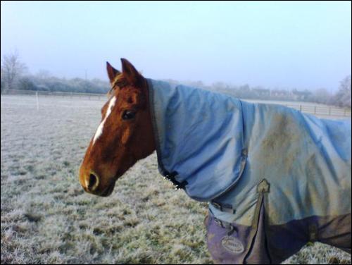 He's a right poser