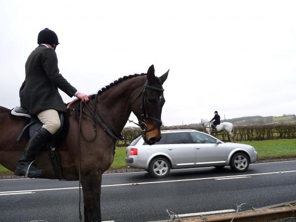 hunt outside our top gate