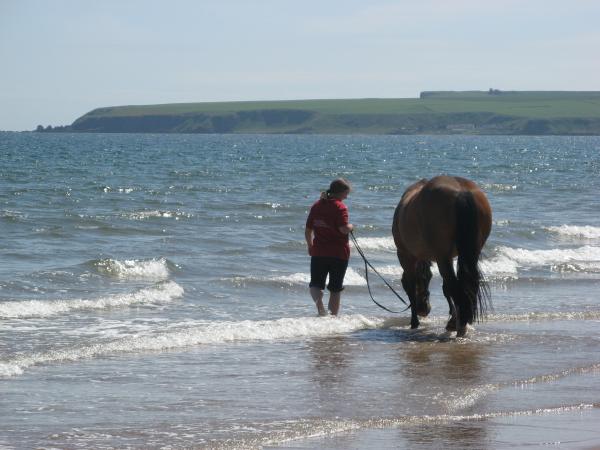 I didn't fall off LOL! just had a bit of fun leading her too