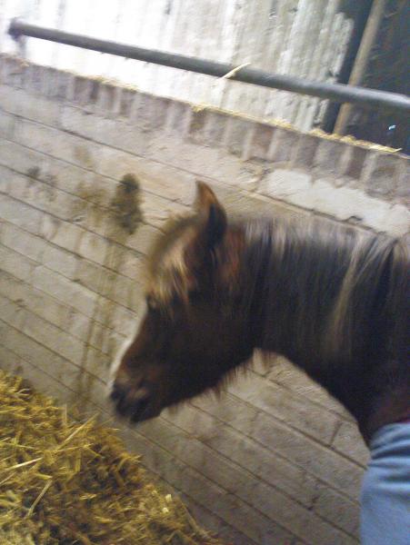 I DONT WANT MY PICTURE TAKEN!